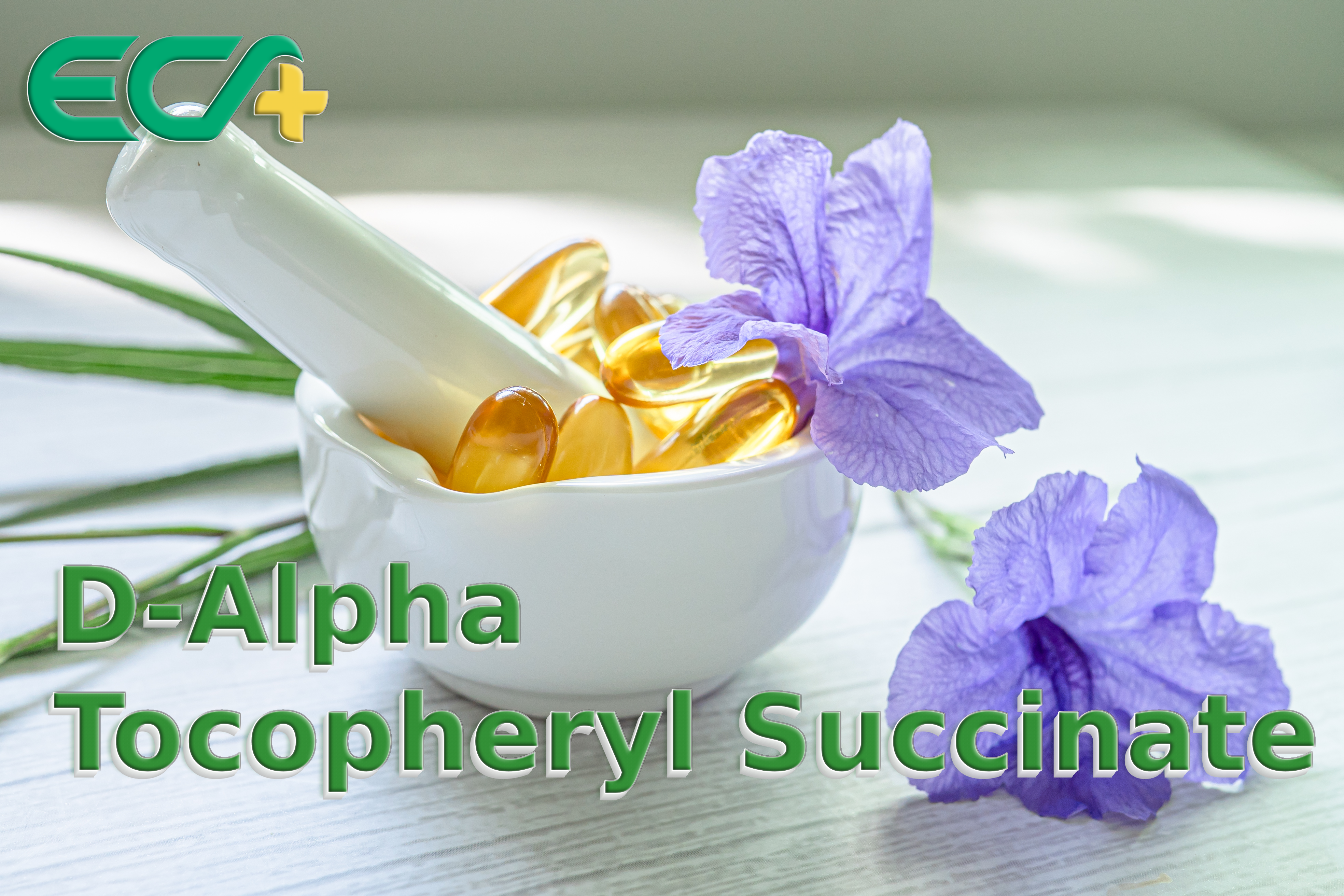 D-Alpha Tocopheryl Succinate